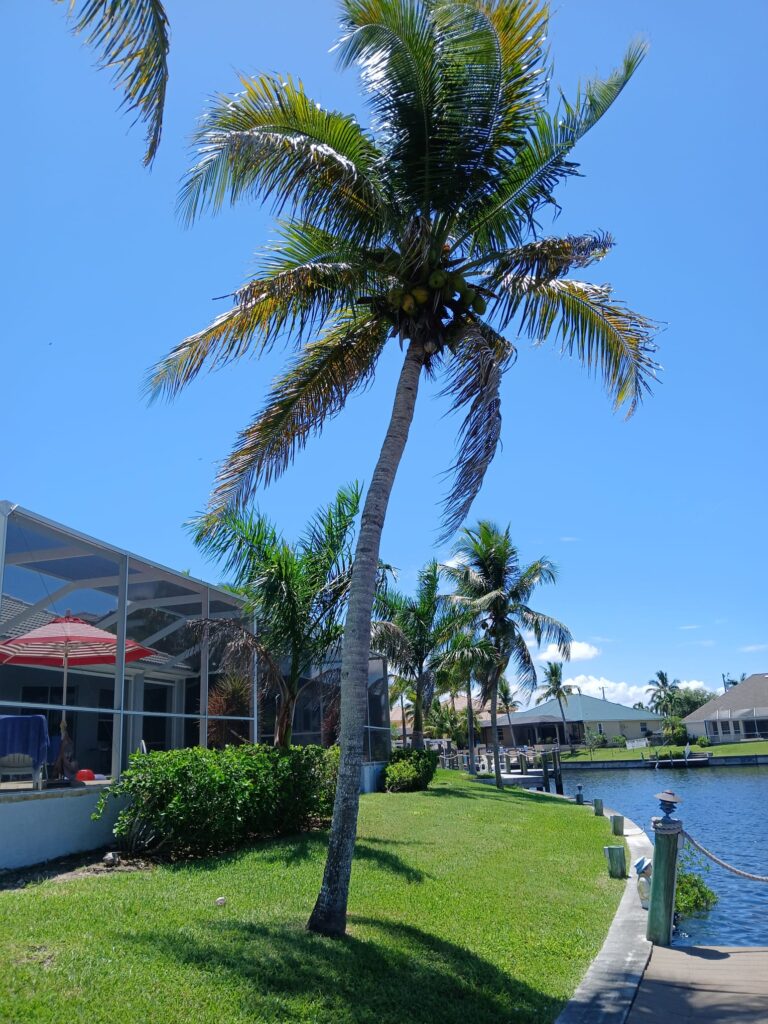 Blick auf Pool im Ferienhaus in Cape Coral